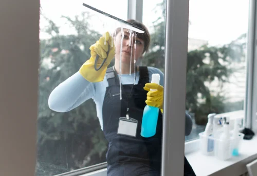 Nettoyage de vitres intérieures et extérieures à Chanousse